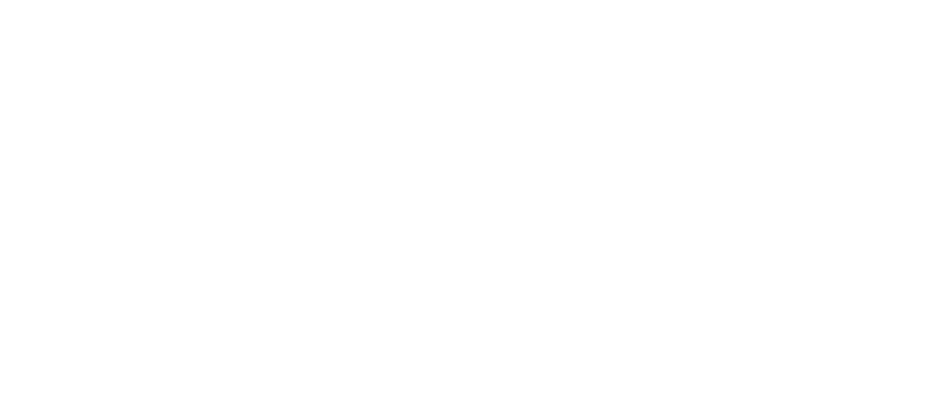 TeraFiber Logo