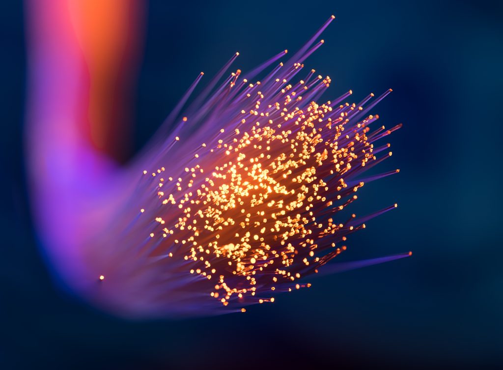 About TeraFiber